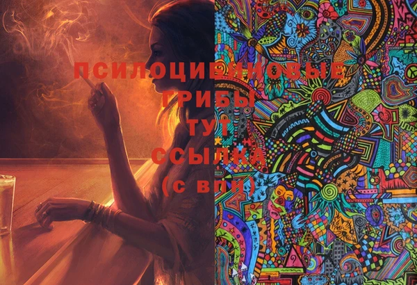 ECSTASY Медногорск