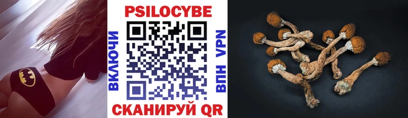 Псилоцибиновые грибы прущие грибы кракен ССЫЛКА Самара