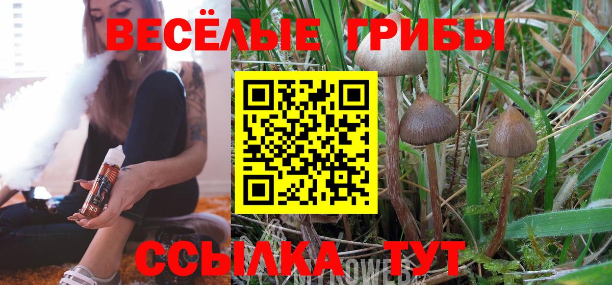 Галлюциногенные грибы Psilocybe Самара
