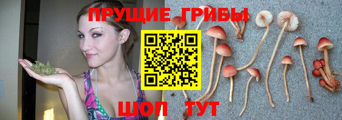 Самара  Псилоцибиновые грибы Psilocybine cubensis  Вход с VPN 